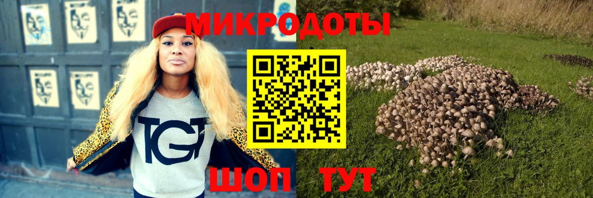 Галлюциногенные грибы ЛСД Кохма